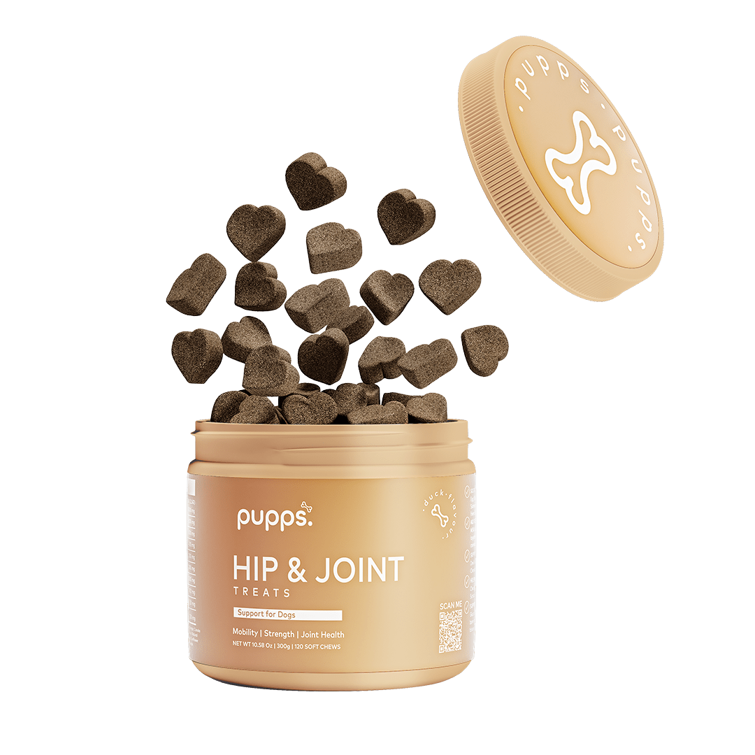 Hip & Joint Treats - Pet Supplier Store