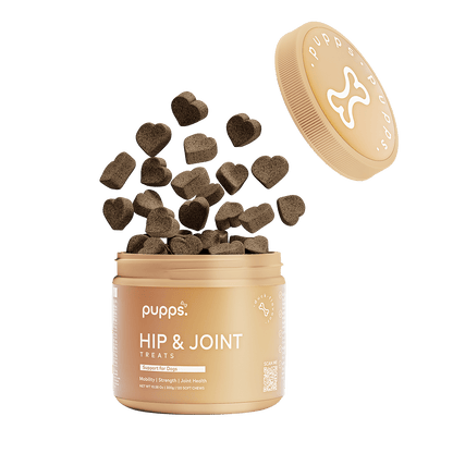 Hip & Joint Treats - Pet Supplier Store