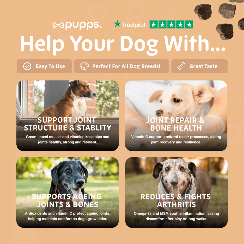 Hip & Joint Treats - Pet Supplier Store