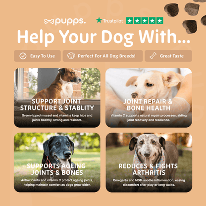 Hip & Joint Treats - Pet Supplier Store