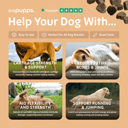 Hip & Joint Treats - Pet Supplier Store