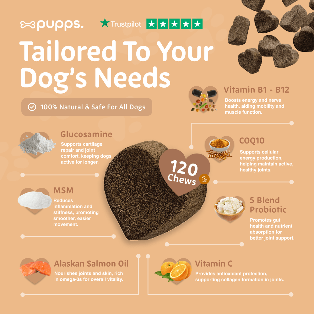 Hip & Joint Treats - Pet Supplier Store