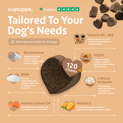 Hip & Joint Treats - Pet Supplier Store