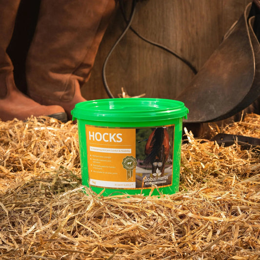 Hocks 1kg - Global Herbs - Pet Supplier Store