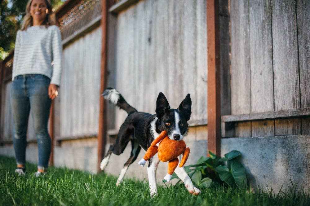 Holiday Classic Holiday Hound Turkey - Pet Supplier Store