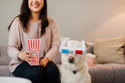 Hollywoof D3-Dog Glasses Dog Toy - Pet Supplier Store