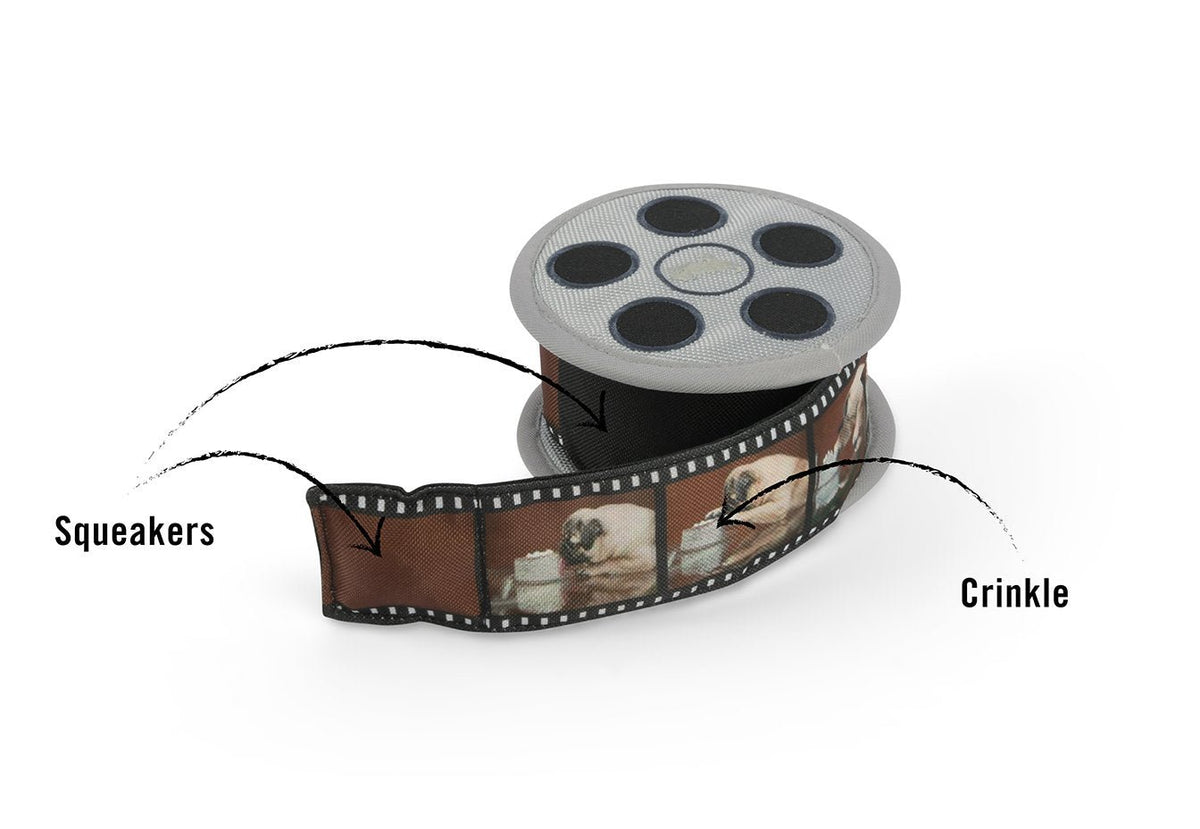 Hollywoof Movie Reel Dog Toy - Pet Supplier Store