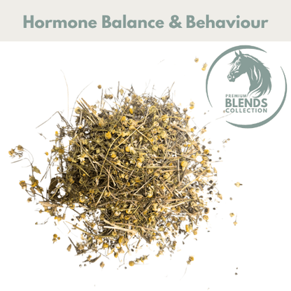 Hormonal Support Blend - Pet Supplier Store