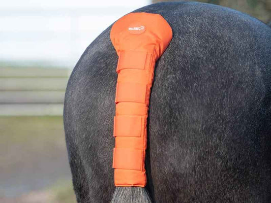 Horse Tail Guard - Orange - Pet Supplier Store