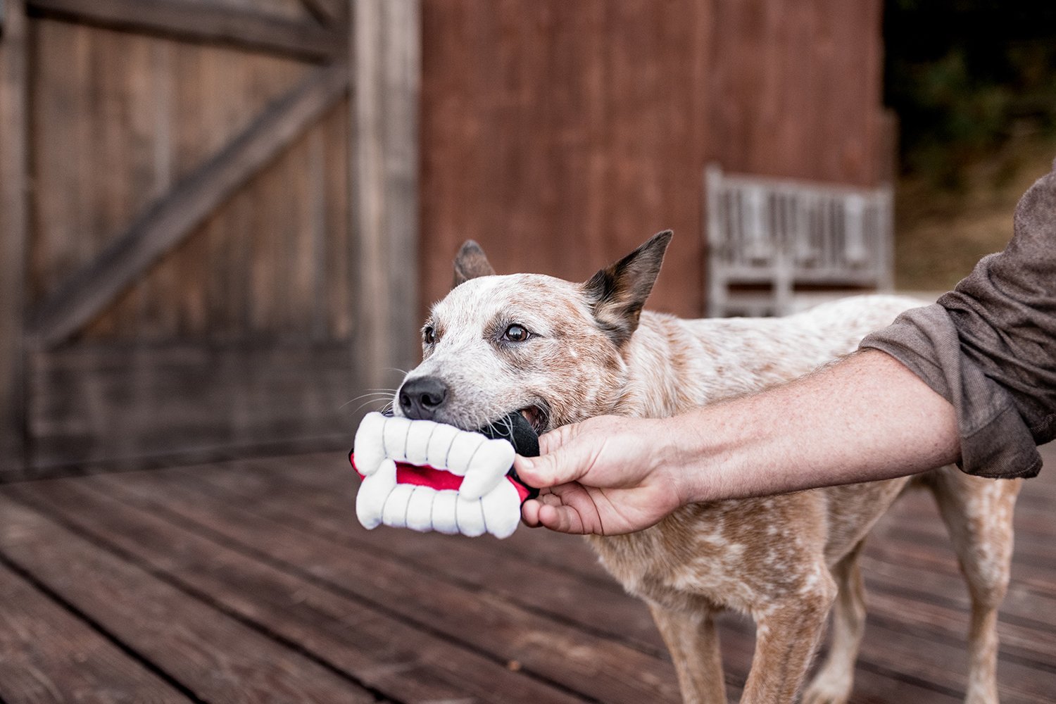 Howling Haunts Barky's Bite - Pet Supplier Store