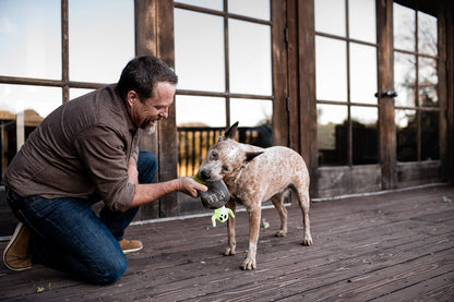 Howling Haunts Ghoulish Grave - Pet Supplier Store