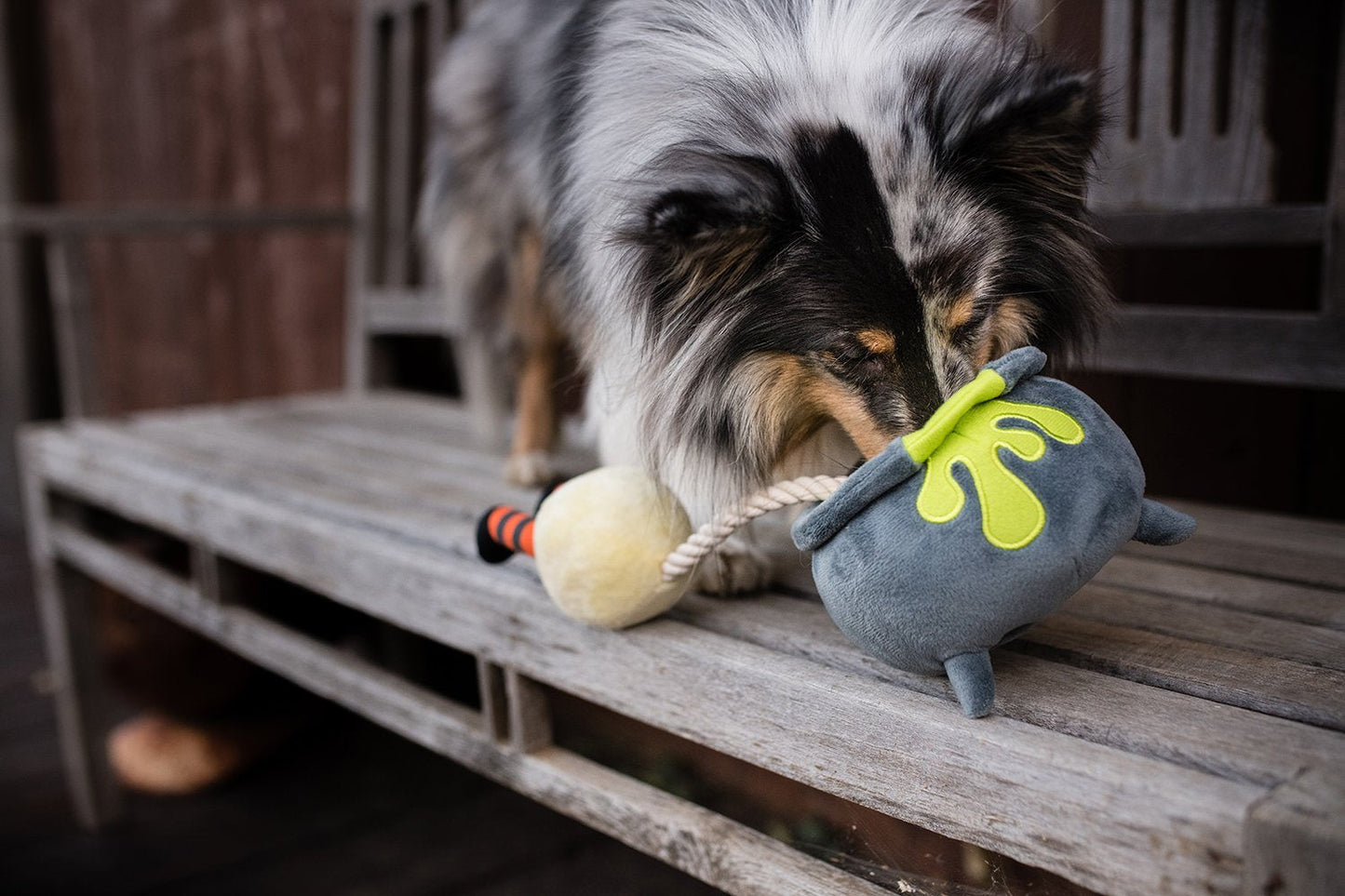 Howling Haunts Pups Potion - Pet Supplier Store