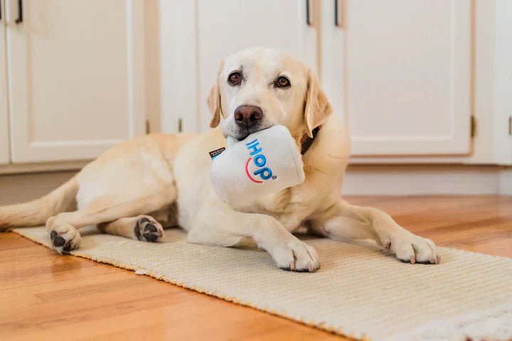 IHOP x P.L.A.Y. Barking Bean Brew - Pet Supplier Store