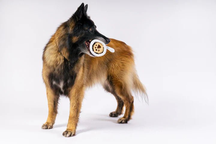 IHOP x P.L.A.Y. Barking Bean Brew - Pet Supplier Store