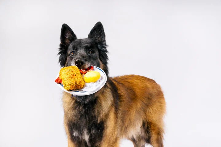 IHOP x P.L.A.Y. Eggcellent Play Platter - Pet Supplier Store