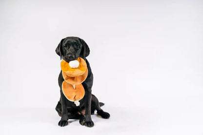 IHOP x P.L.A.Y. Pancake Pup Stack - Pet Supplier Store