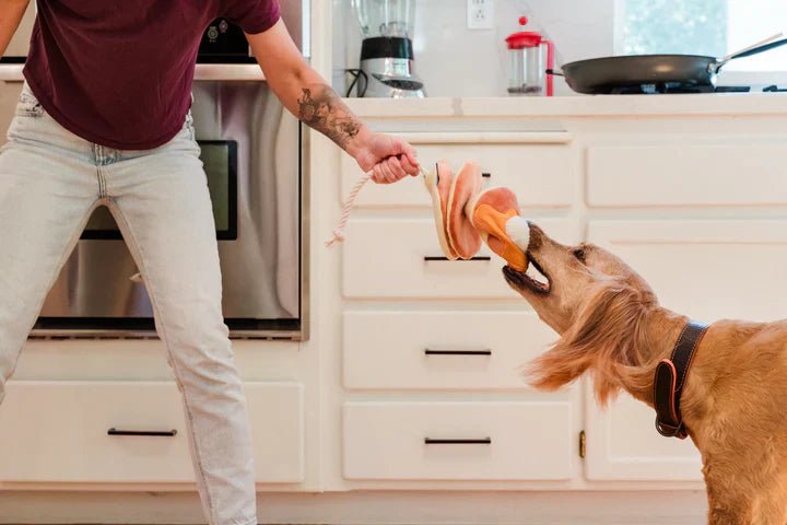 IHOP x P.L.A.Y. Pancake Pup Stack - Pet Supplier Store