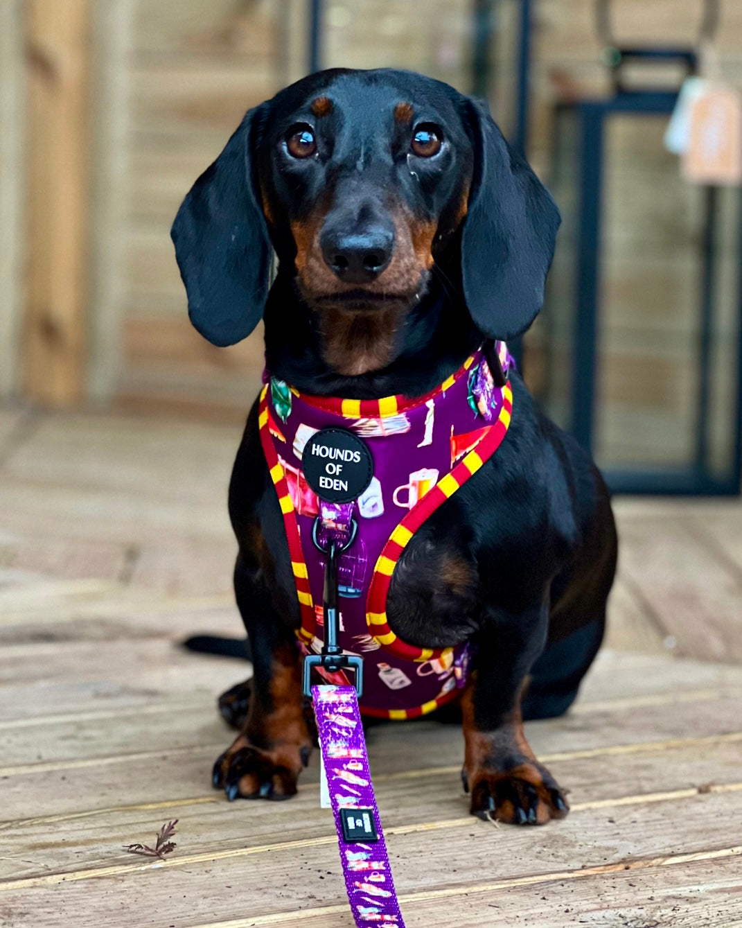 Harry Pawter Design Dog Bow Tie