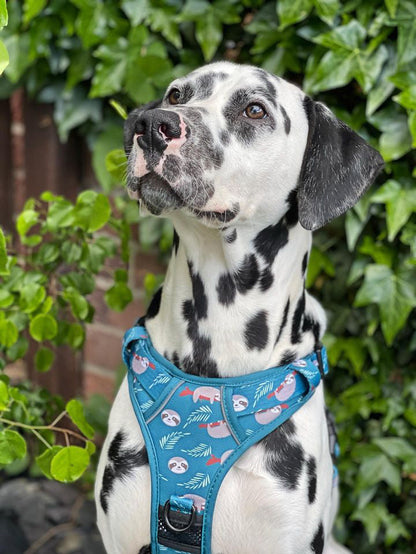 Lazy Sloth No Pull Tactical Dog Harness – Blue Teal Sloth Print, Adjustable, Step-In (Small-XL) 🦥