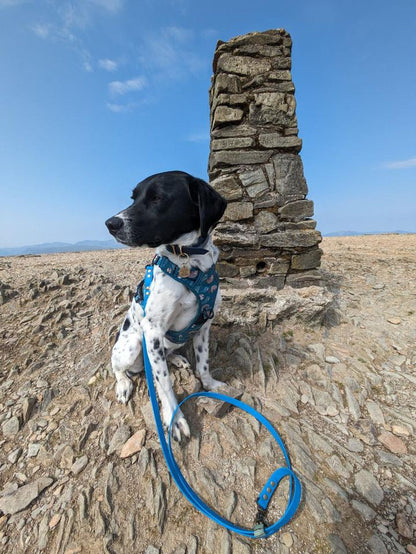 Lazy Sloth No Pull Tactical Dog Harness – Blue Teal Sloth Print, Adjustable, Step-In (Small-XL) 🦥