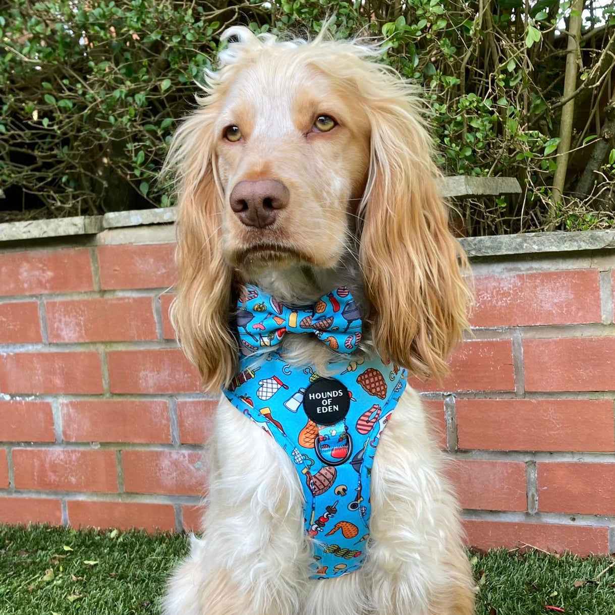 Grill 'n' Chill - Dog Bow Tie