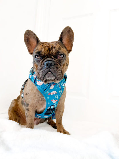 Lazy Sloth No Pull Tactical Dog Harness – Blue Teal Sloth Print, Adjustable, Step-In (Small-XL) 🦥