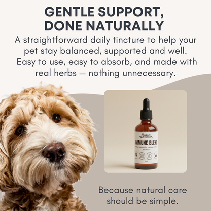 Shanzi Naturals Immune Blend