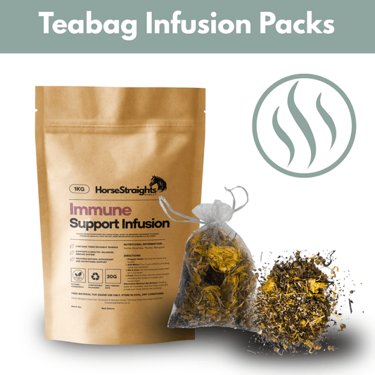 Immune Support Infusion (Reusable Teabags) - Pet Supplier Store