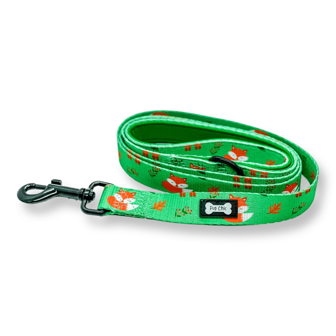 Inquisitive Fox 5ft Dog Lead - Pet Supplier Store