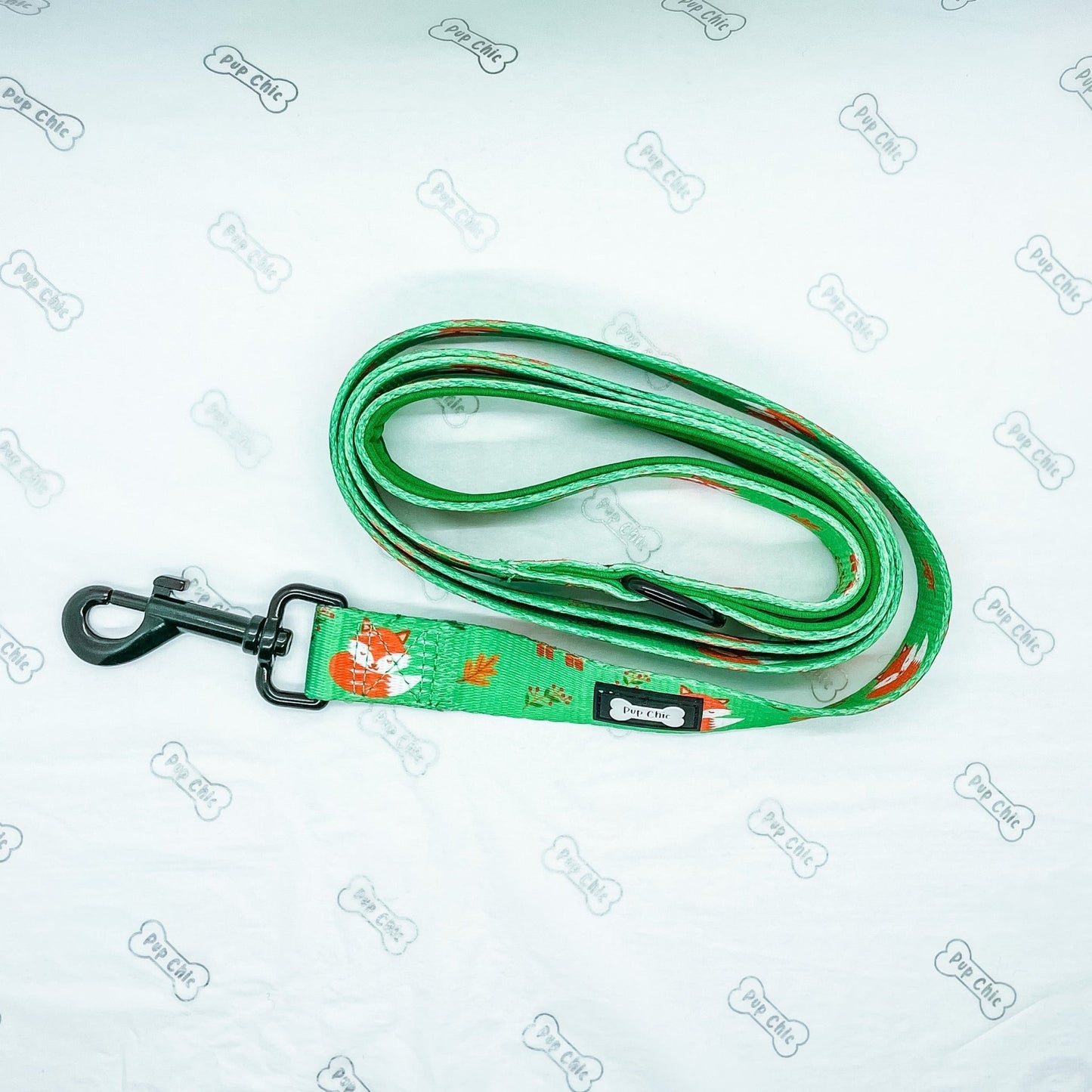 Inquisitive Fox 5ft Dog Lead - Pet Supplier Store