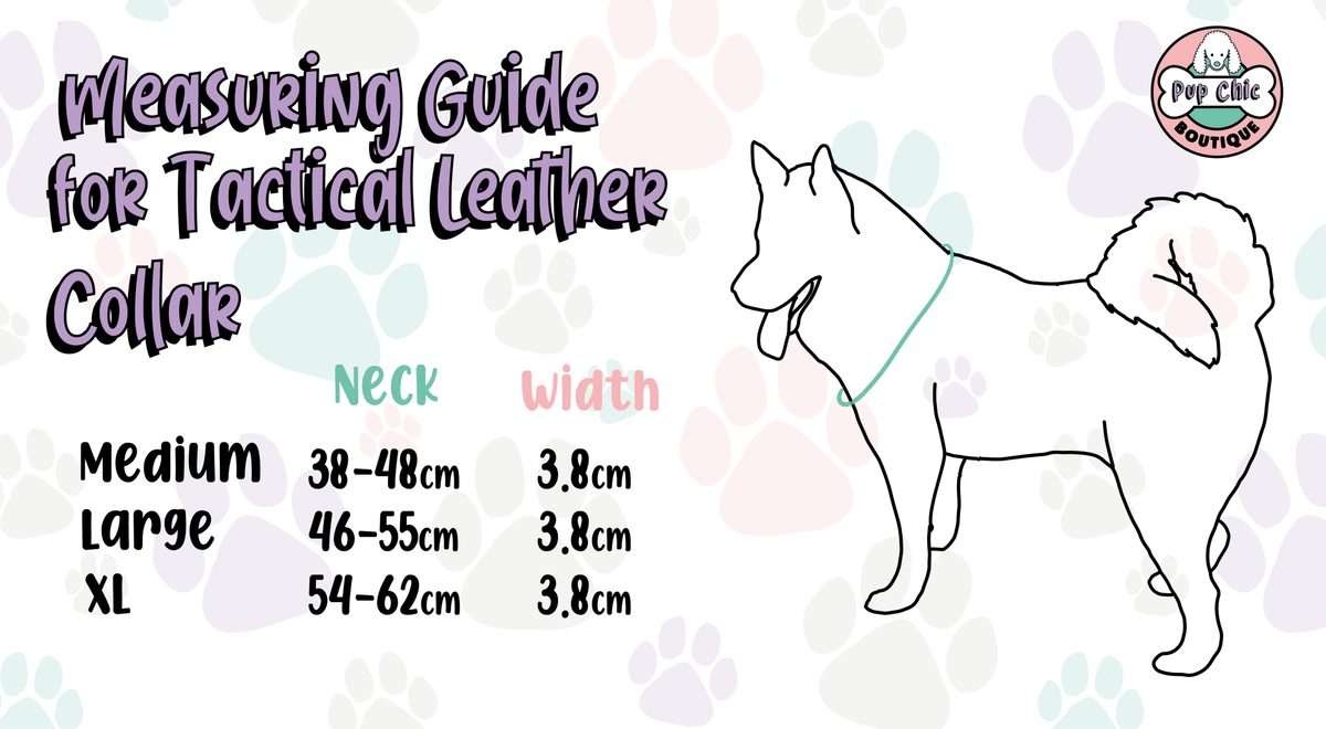 Inquisitive Fox Collar - Pet Supplier Store