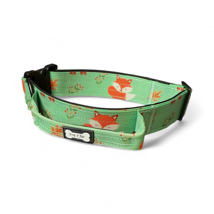 Inquisitive Fox Collar - Pet Supplier Store