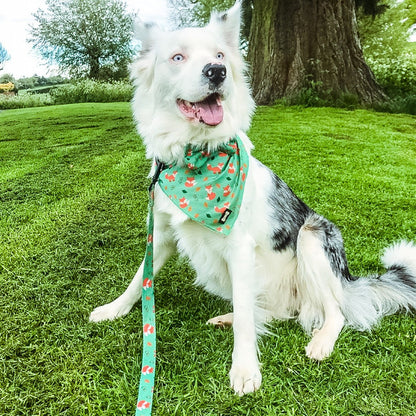 Inquisitive Fox Cooling Bandana - Pet Supplier Store
