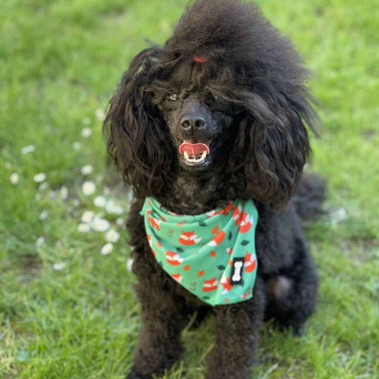 Inquisitive Fox Cooling Bandana - Pet Supplier Store