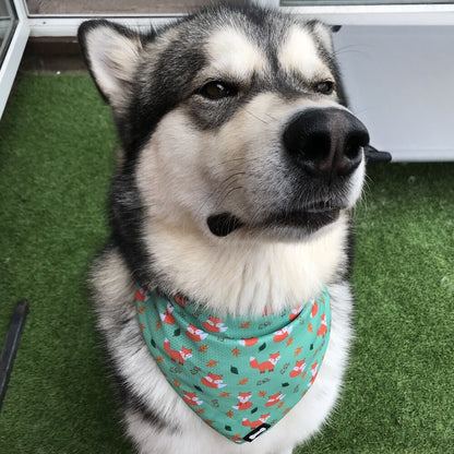 Inquisitive Fox Cooling Bandana - Pet Supplier Store