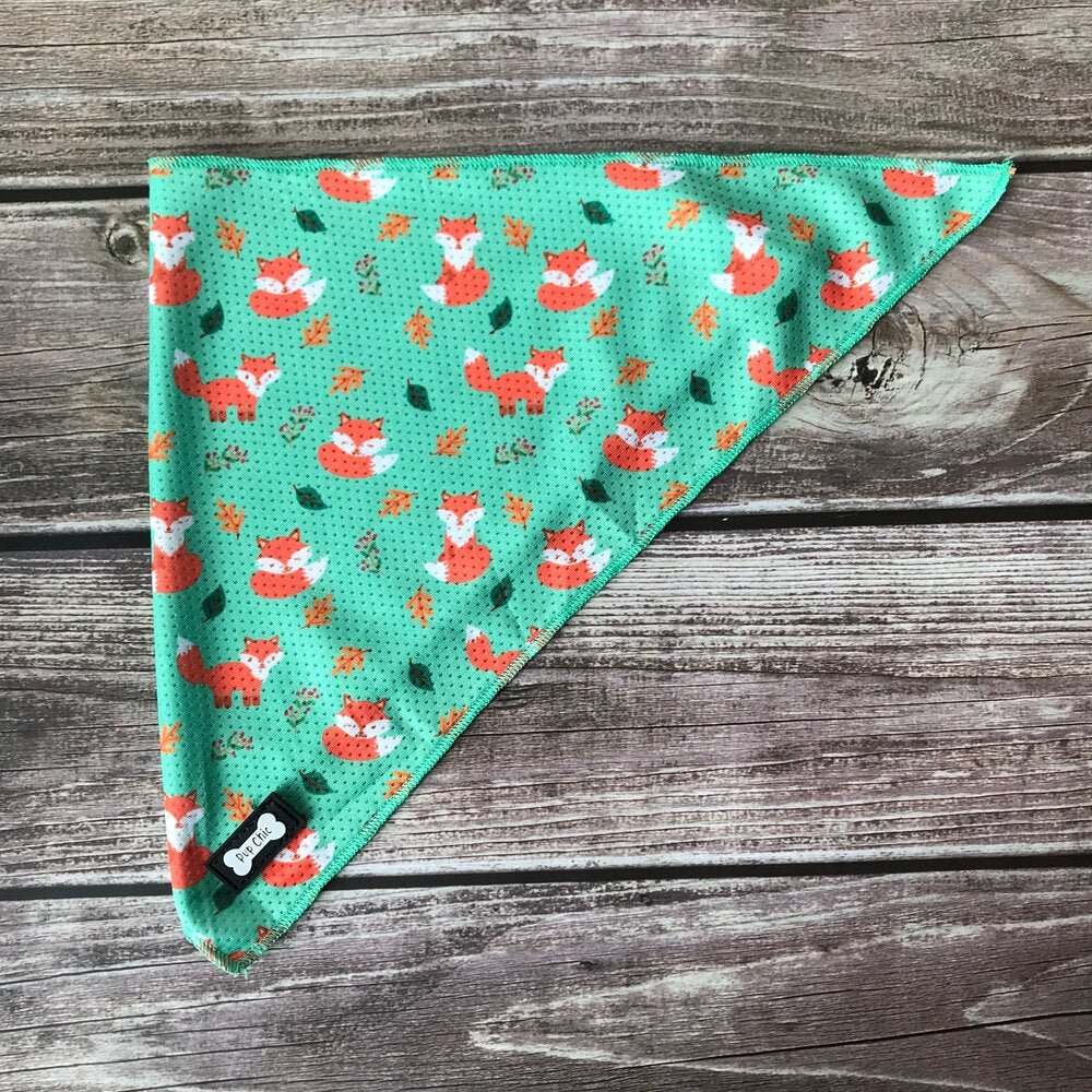 Inquisitive Fox Cooling Bandana - Pet Supplier Store