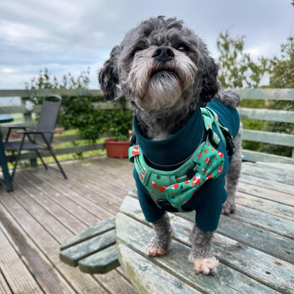 Inquisitive Fox No Pull Tactical Dog Harness – Green Fox Print, Adjustable, Step-In (XS-XL) - Pet Supplier Store