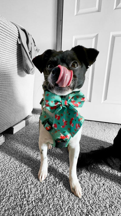 Inquisitive Fox Sailor Bow Tie for Dog - Pet Supplier Store