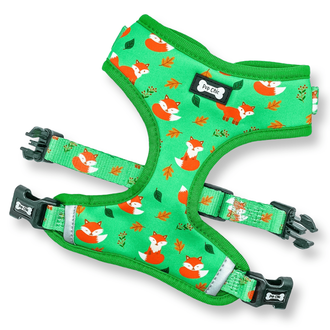 Inquisitive Fox XXS Puppy Harness – Lightweight, Adjustable & Adorably Foxy 🦊 - Pet Supplier Store