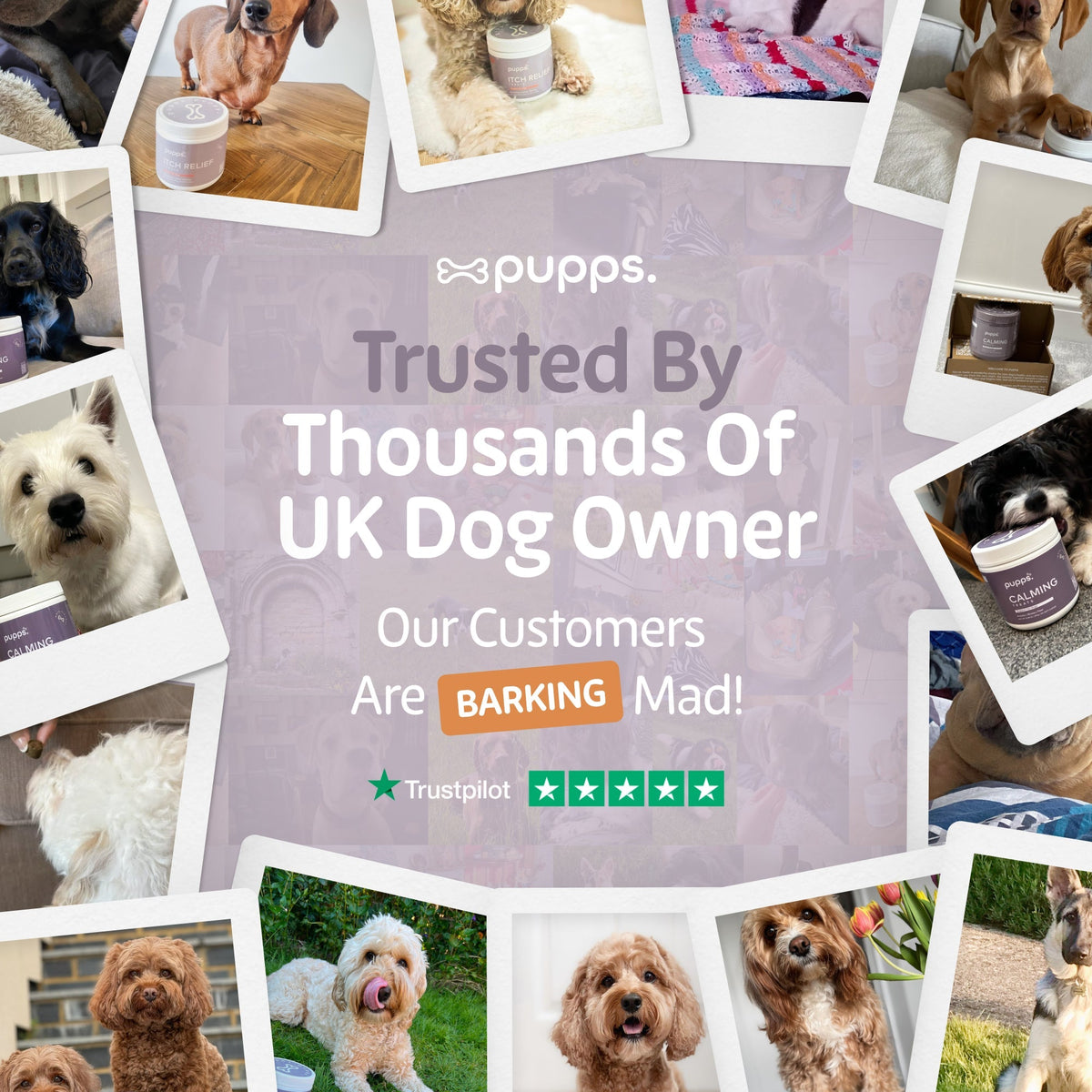 Itch Relief Treats - Pet Supplier Store