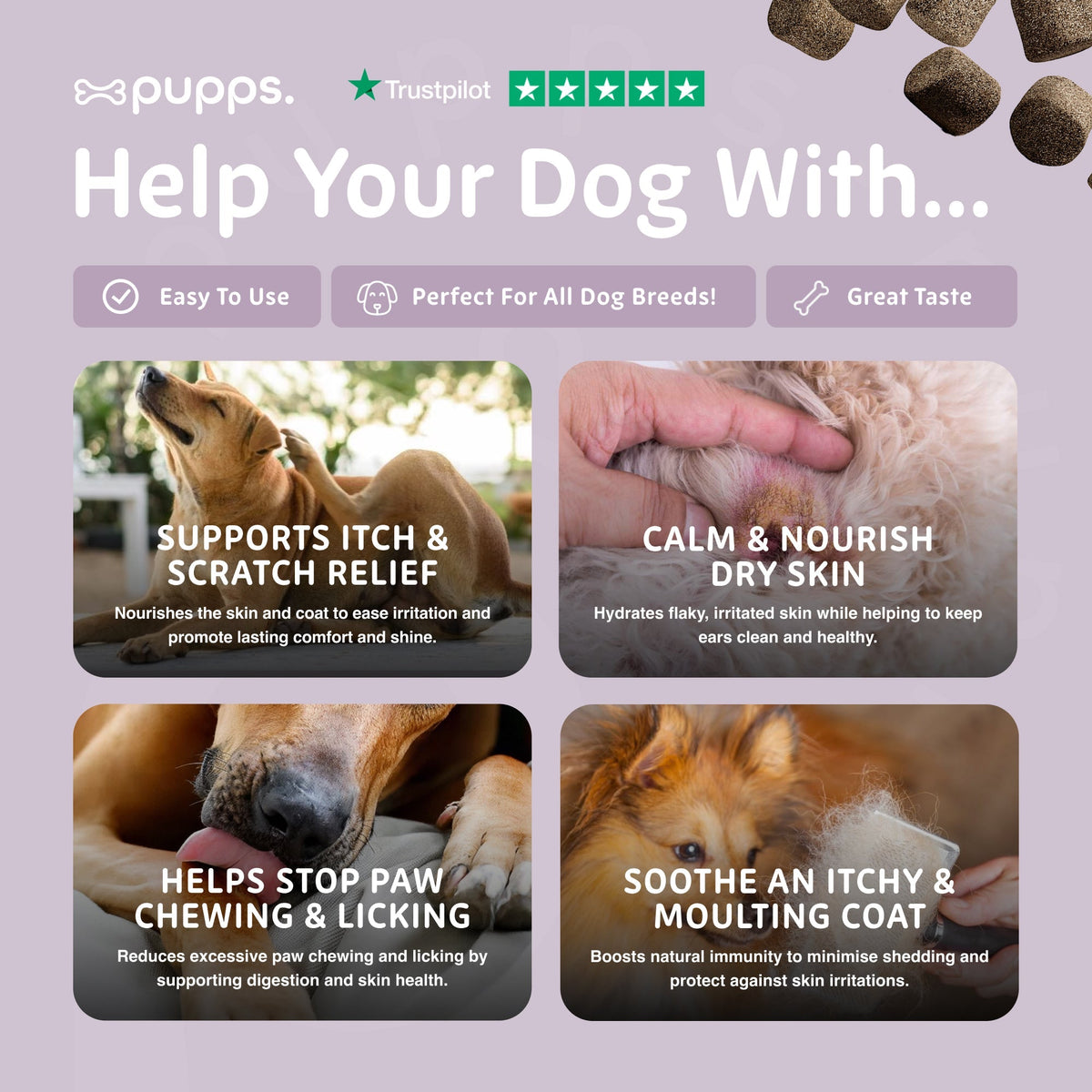 Itch Relief Treats - Pet Supplier Store