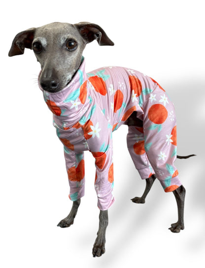 Jersey Suit - Peaches - Pet Supplier Store