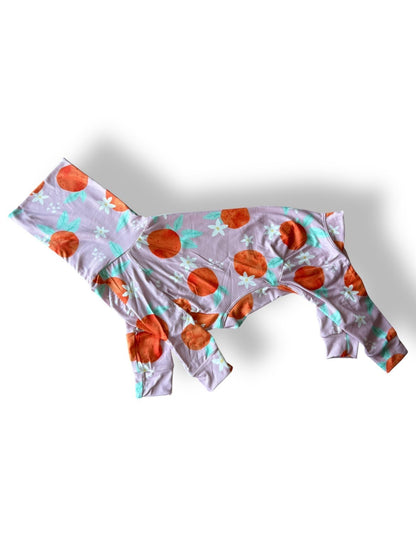 Jersey Suit - Peaches - Pet Supplier Store