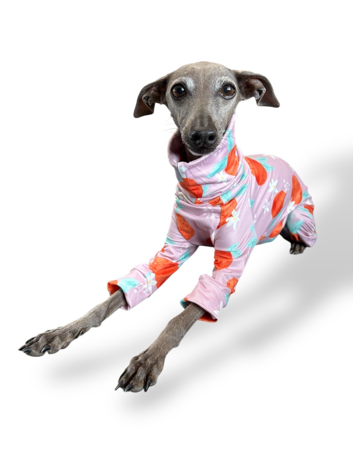 Jersey Suit - Peaches - Pet Supplier Store