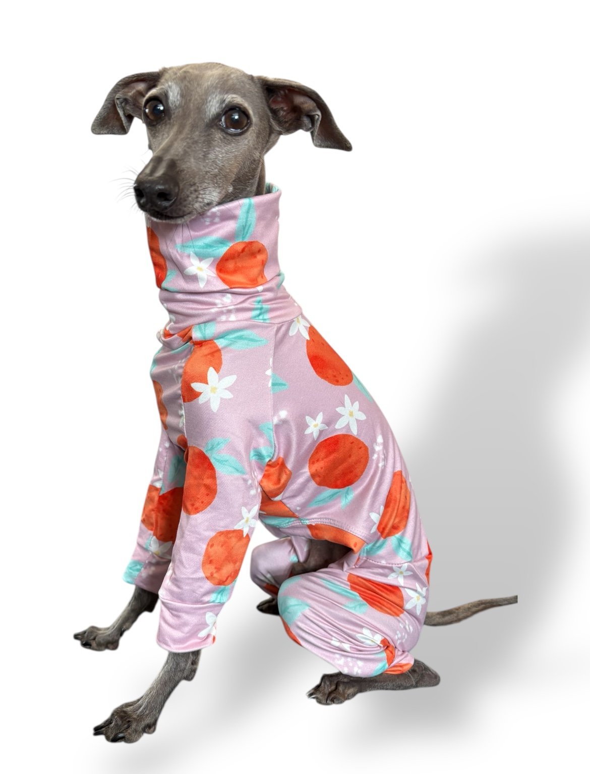Jersey Suit - Peaches - Pet Supplier Store