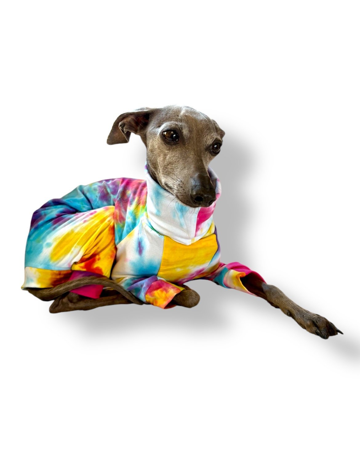 Jersey Suit - Rainbow Tie Dye - Pet Supplier Store