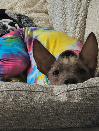 Jersey Suit - Rainbow Tie Dye - Pet Supplier Store