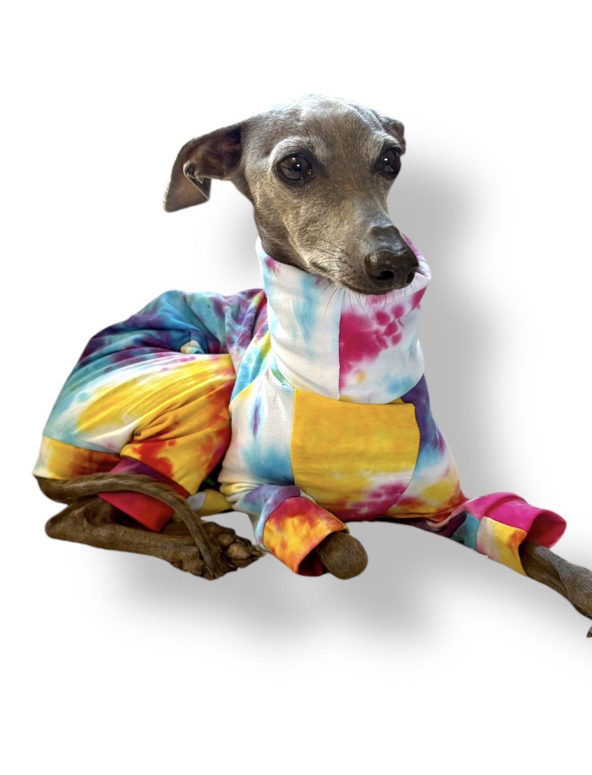 Jersey Suit - Rainbow Tie Dye - Pet Supplier Store