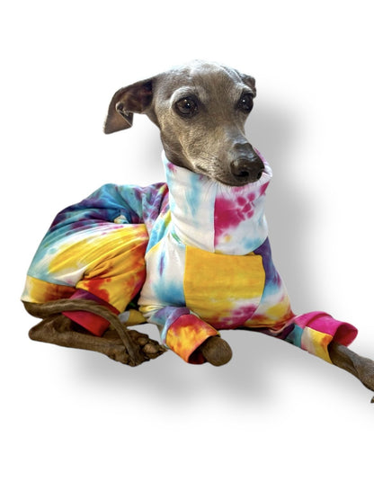Jersey Suit - Rainbow Tie Dye - Pet Supplier Store