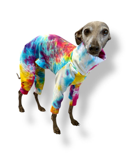 Jersey Suit - Rainbow Tie Dye - Pet Supplier Store